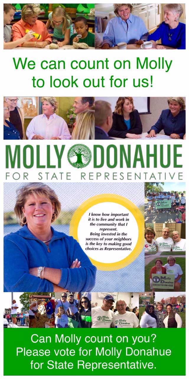 Candidate Molly Donahue running for Iowa House District 68 - Molly is fighting for your rights - Vote for Molly Donahue